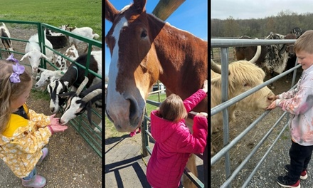 One Petting Farm Ticket - General Admission - Green Meadows Petting Farm - Maryland
