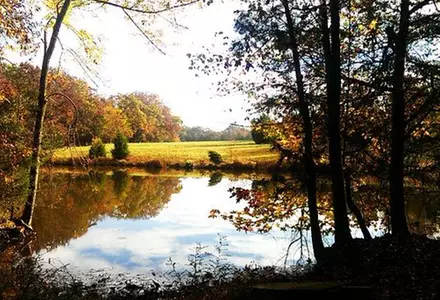 Anne Springs Close Greenway