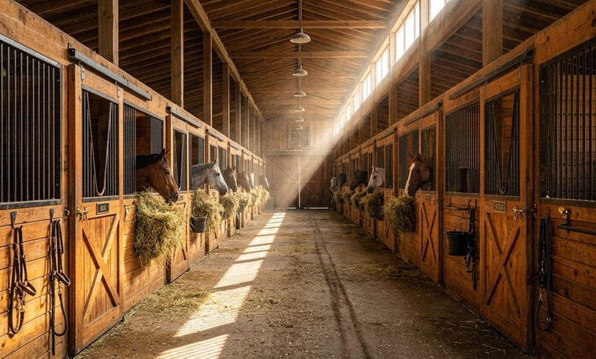 Image 7: Up to 30% Off on Horse Back Riding at Fox View Equestrian LLC