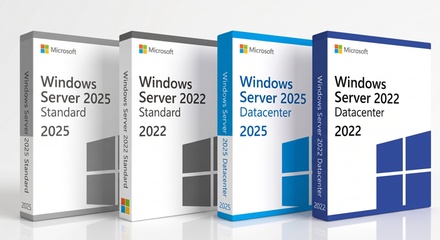 Microsoft Windows Server 2025 Standard - Lifetime Activation - Windows Server Standard or Datacenter