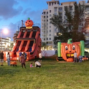 $15 for $20 Towards Pumpkin Purchase (Valid Mon-Fri) - Proper Seasonal Businesses Inc