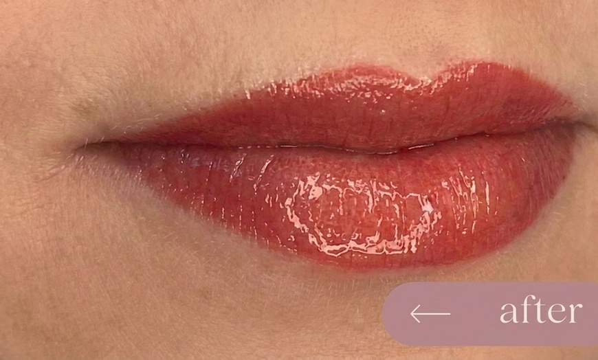 Image 2: Microblading and Lip Blush Consultation 