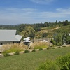 Image 8: Wine Tasting & Handcrafted Wines in a Historic Speakeasy for 1-6