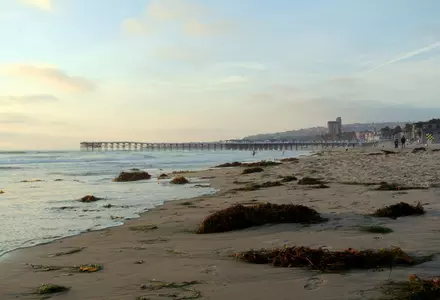 Crystal Pier