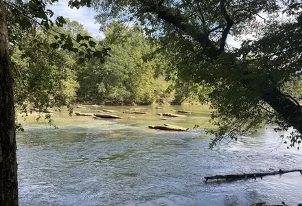 Chattahoochee River National Recreation Area - Island Ford