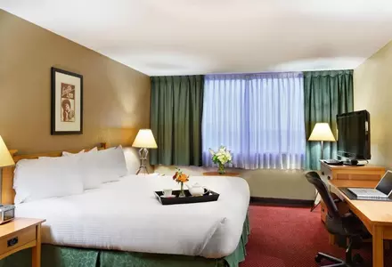 Standard Room, 1 King Bed