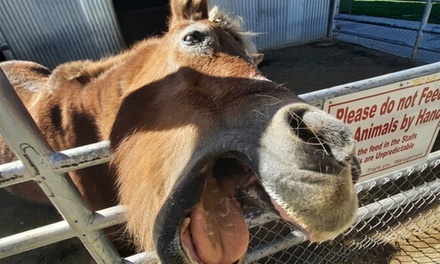 Petting Zoo Admission for Two People - Montebello Barnyard Zoo