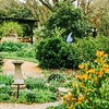 Image 5: Explore Vibrant Butterfly House, Fascinating Reptiles, & much more