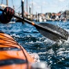 Image 2: Up to 12% Off Paddleboard or Kayak Rental at Balboa Fun Tours