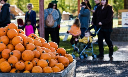 Admit ONE to Dave's Pumpkin Patch - Dave's Pumpkin Patch