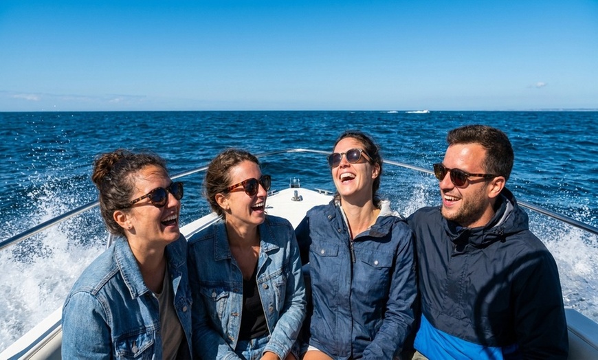 Image 4: Newburyport Whale Watching Tour – See Majestic Marine Life