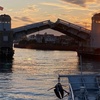 Image 4: 2-Hour Sunset Cruise with Whale & Dolphin Sightings — Jersey Shore