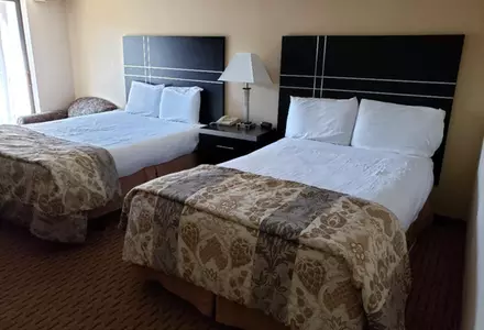 Traditional Double-Queen Room