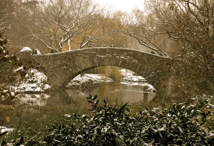 The Pond and Gapstow Bridge, Central Park