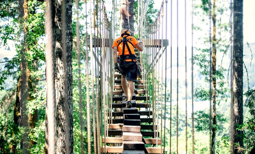 Image 9: Up to 37% Off Adventure Course & Ziplines at Tree To Tree Cape May