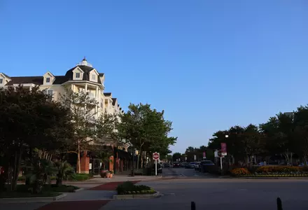 The Market Common