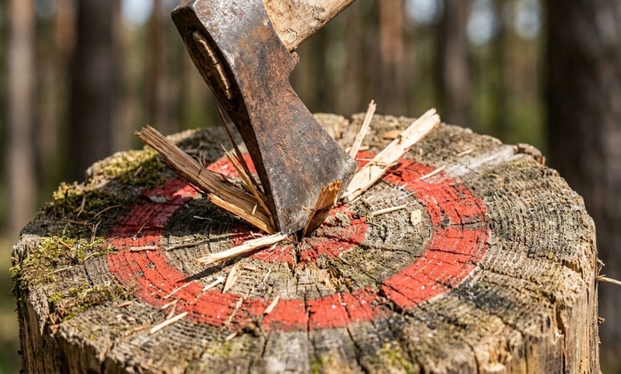 Image 7: Up to 20% Off on Axe Throwing at iSmash Tampa