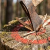 Image 7: Up to 20% Off on Axe Throwing at iSmash Tampa