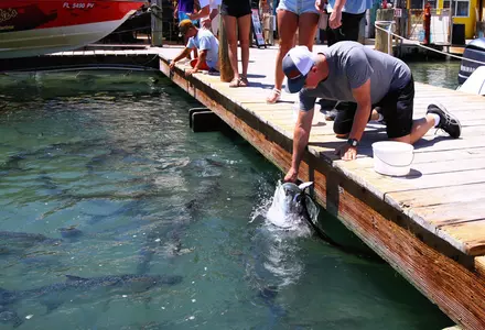 Robbie's of Islamorada