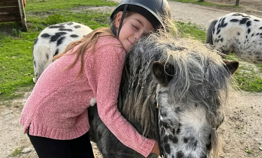Image 3: Petting Zoo Deals & Discounts at Lakewood Barnyard Buddies