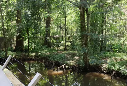 Brookgreen Gardens