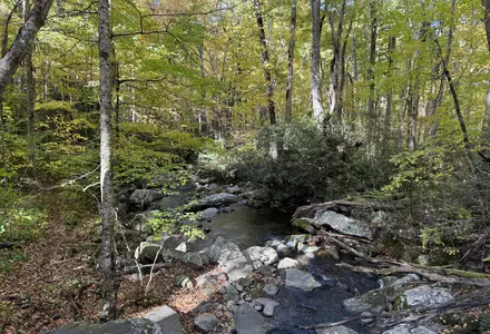 Roaring Fork Motor Nature Trail