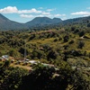 Image 7: ✈ Costa Rica: 6-Night Trip with Flights, Hotels & Rental Car