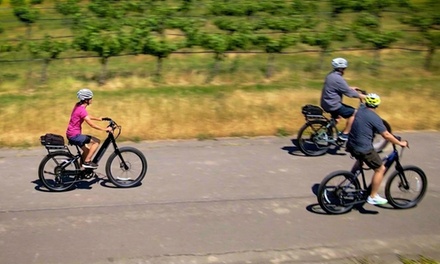 Full-Day eBike Rental for One Person - Napa Velo