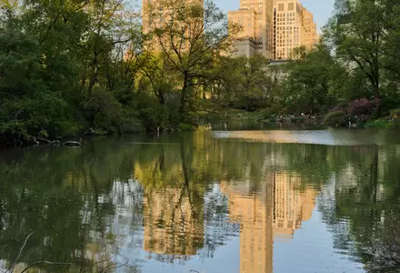 Central Park