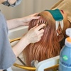Image 3: 60-Minute Classic Head Spa with Herbal Steam & Face Mask