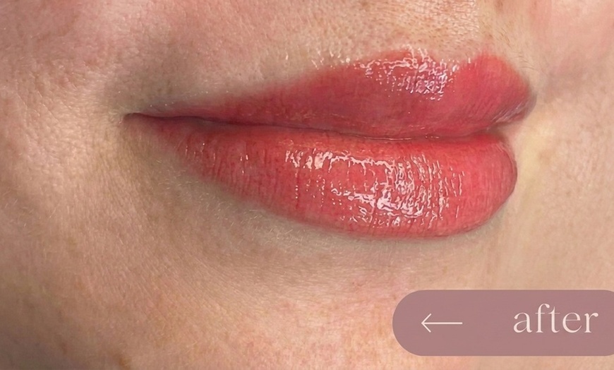 Image 3: Microblading and Lip Blush Consultation 