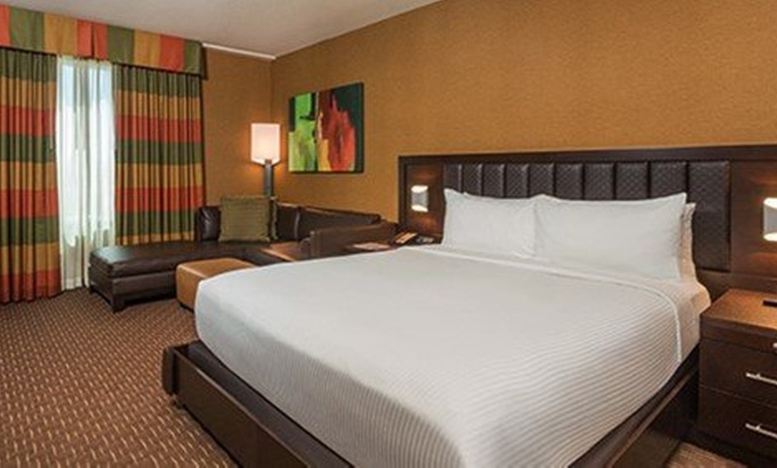 Image 21: Las Vegas Downtown Casino Hotel with Shark Tank Pool