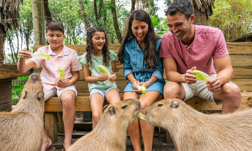 Image 6: Wild Florida Gator Park Admission with Options for Lunch Air Boat Ride
