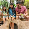 Image 6: Wild Florida Gator Park Admission with Options for Lunch Air Boat Ride
