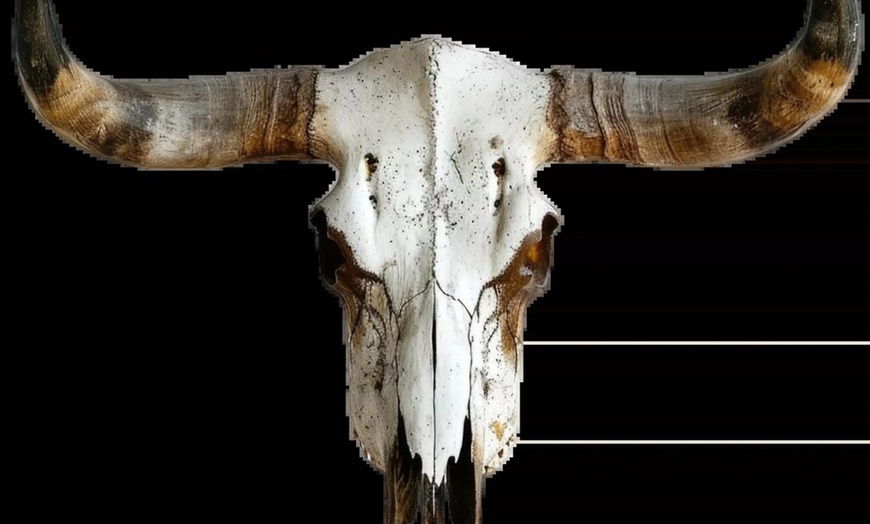 Image 4: Explore Texas History at The George Ranch with Child and Adult Entry