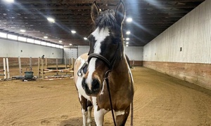 Horseback Riding Lessons at Eagle Lake Ranch