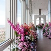 Image 5: FLASH SALE! 360° Views & Summer Reimagined Exhibit at View Boston 