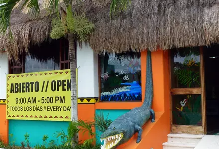 Croco Cun Zoo