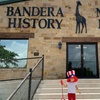 Image 6: Explore History, Art, Global Wildlife & Dinosaurs w/ Admission for 1-4
