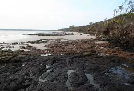 Black Rock Beach (Big Talbot Island)