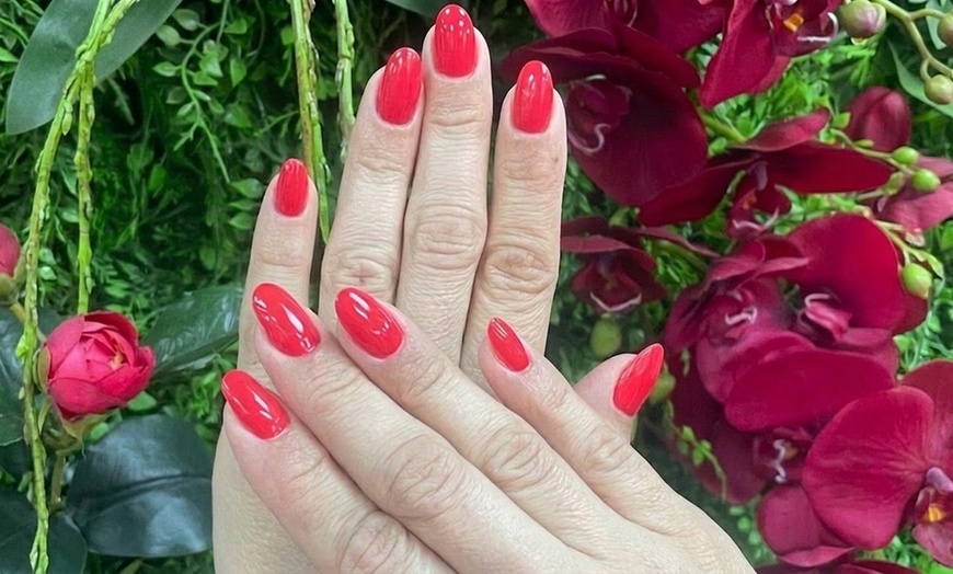 Image 3: Gel Manicure & Spa Pedicure for Long-Lasting Nail Perfection