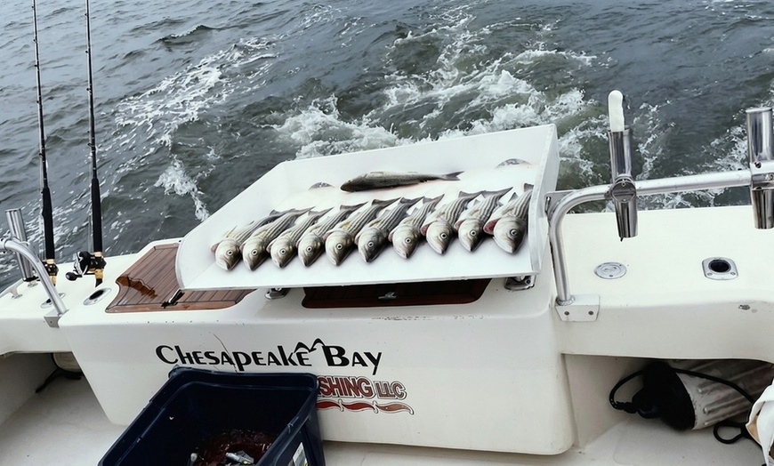 Image 5: Join All Inclusive Thrilling Fishing Trip For Up to Four People 