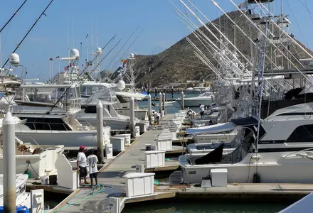 Cabo San Lucas Marina & Boardwalk