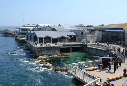 Monterey Bay Aquarium