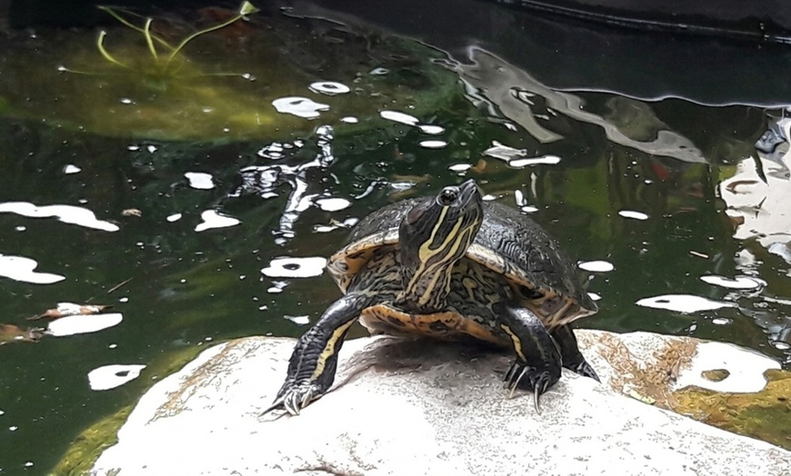 Image 8: Sunken Gardens Admission & Family Membership Deals (Up to 35% Off)