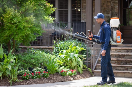 One Mosquito Treatment for up to a Half Acre - Rocket Pest Control