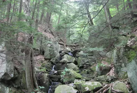 Pleasant Valley Wildlife Sanctuary