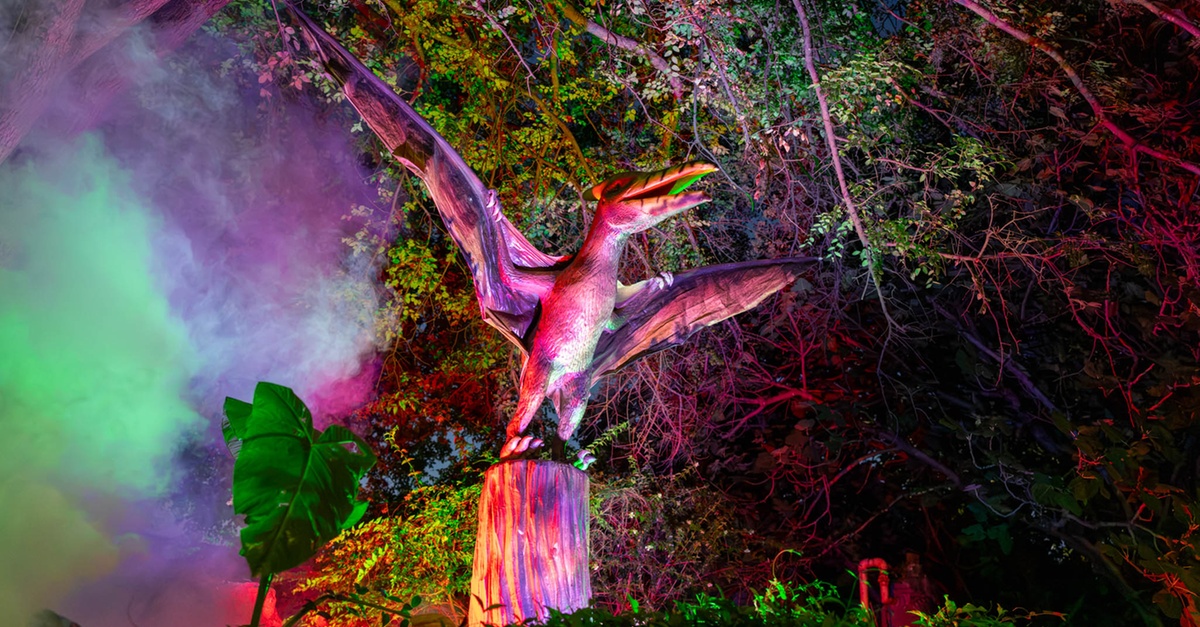 San Antonio Zoo Discount Tickets - Up to 37% Off Admission or Dinos After Dark!