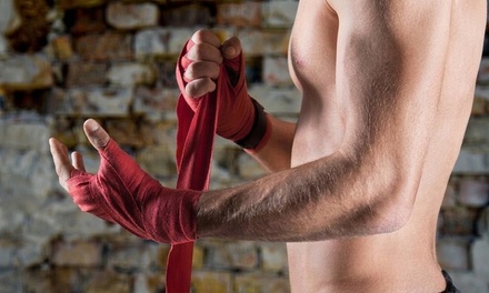 7 CLASSES of Jared Grappling MMA/ Self Defense Classes EVERY FRIDAY 5PM - Tohok Ki United Martial Arts Academy