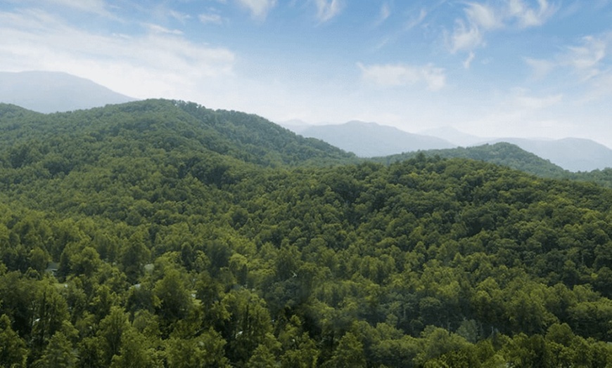 Image 2: Guided Jeep Tours of the Smoky Mountains with Breathtaking Views